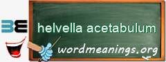 WordMeaning blackboard for helvella acetabulum